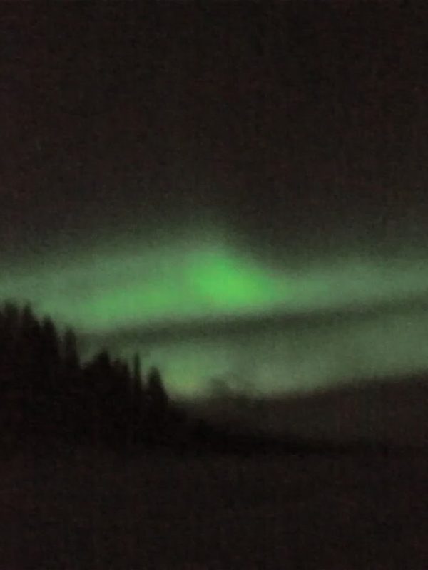 Aurora