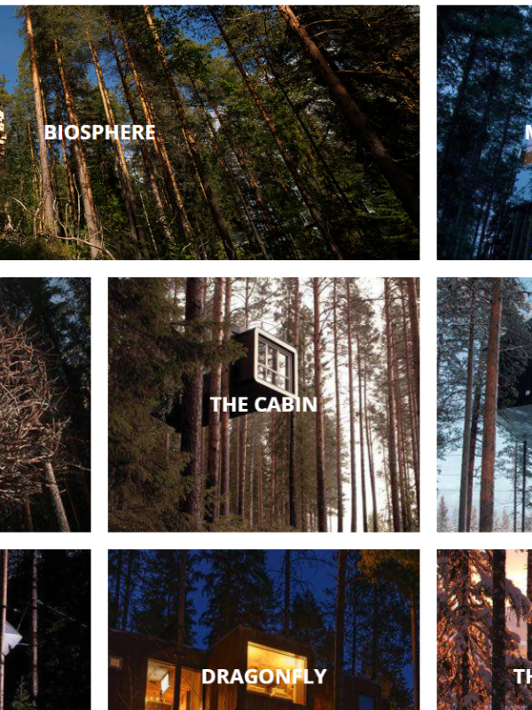 Tree hotel